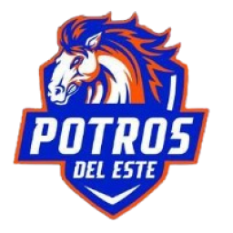 阿马多尔后备队